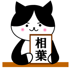 Aiba lover cat