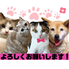 bb_20190608193633