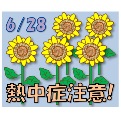 Heat stroke attention!<June>Sunflower