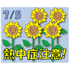 Heat stroke attention!<July>Sunflower