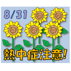 Heat stroke attention!<Aug.>Sunflower