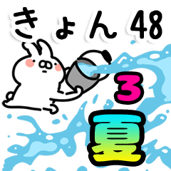 【きょん】専用48＜夏＞3