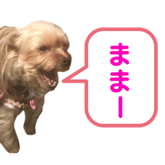 hana_20190608213300