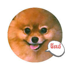 Tommy_20190610105700