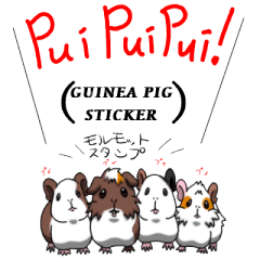 Guinea pig Sticker!