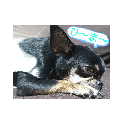 WASABI_20190608185601