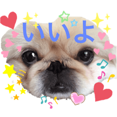 moko_20190609214445