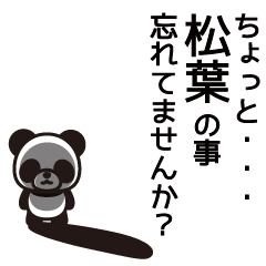 Matsuba Panda Sticker