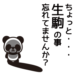 Ikoma Panda Sticker