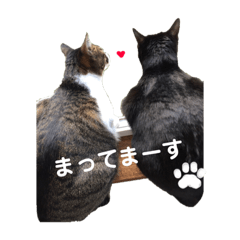 TARO_KURO