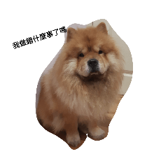 傻狗