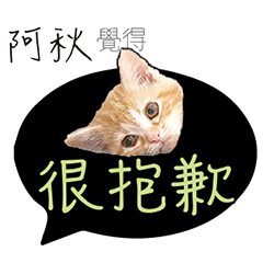阿秋姓名貼小橘貓拿鐵拉花可愛黃貓咪對話框