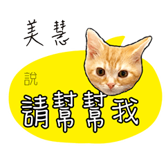 美慧姓名貼小橘貓拿鐵拉花可愛黃貓咪對話框