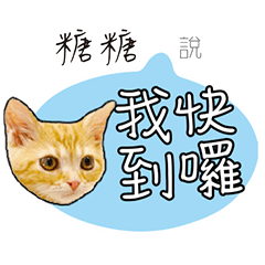 糖糖姓名貼小橘貓拿鐵拉花可愛黃貓咪對話框