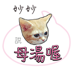 妙妙姓名貼小橘貓拿鐵拉花可愛黃貓咪對話框