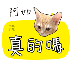 阿如姓名貼小橘貓拿鐵拉花可愛黃貓咪對話框