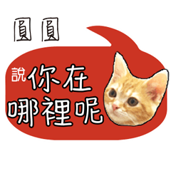 圓圓姓名貼小橘貓拿鐵拉花可愛黃貓咪對話框