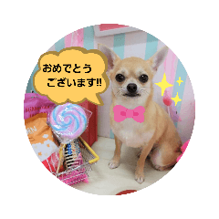 SHIMIZU_20190609231756