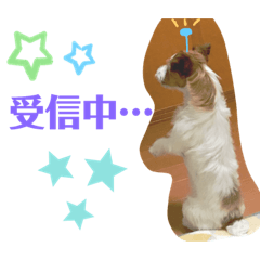 hikaru_20190609215535