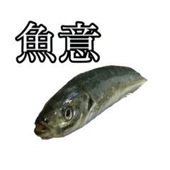 僕達の魚スタンプ