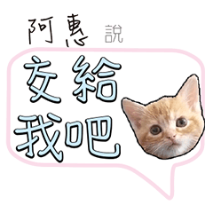 阿惠姓名貼小橘貓拿鐵拉花可愛黃貓咪對話框