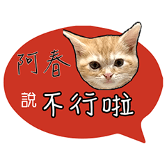 阿春姓名貼小橘貓拿鐵拉花可愛黃貓咪對話框