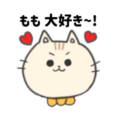 Momo only cute cat