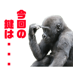 猿、さる、サル！part4(相談に乗る猿たち）