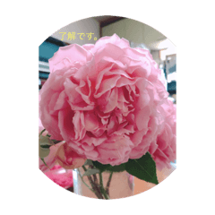 junko_20190609133021