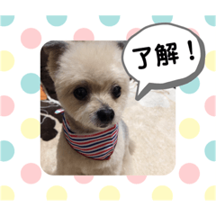 matsu_20190610121033