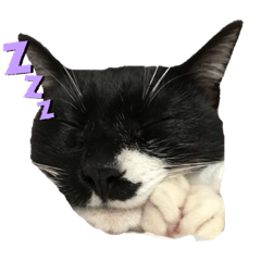 nanami_20190610101654