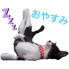 nanami_20190610090954