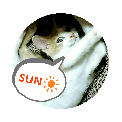 SUN_20190611183039