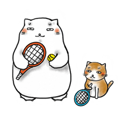 A chubby cat playing tennis.