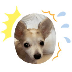 emm_20190610164135