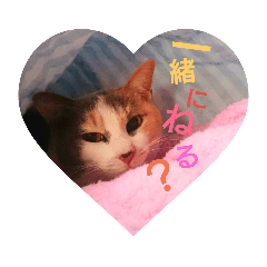 meme_20190610222935