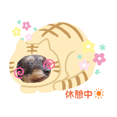 chan_20190610232203