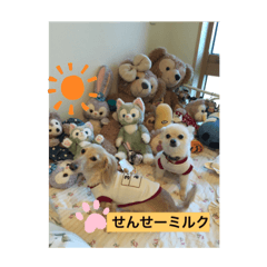 mirukumii_20190611002654