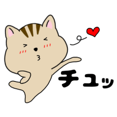Squirrel every day
