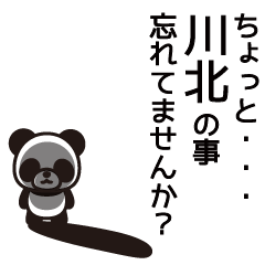 Kawakita Panda Sticker