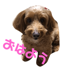 Rie_20190611144227
