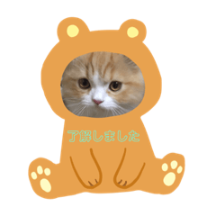 miyuu_20190611210709