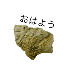 静岡ランセニュマン①（喋る化石スタンプ）