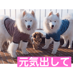 rarutan_20190611222345