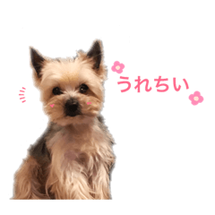saya_20190612003522