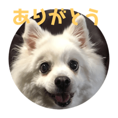 ken_20190611211704