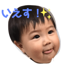 ZEN201906
