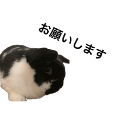oreo no nichijou