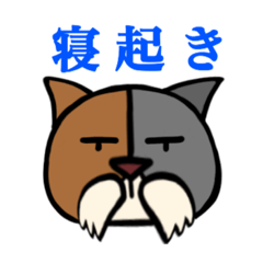 makiyasu_20190611220541