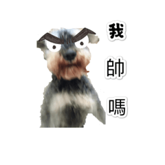 狗的日常用語